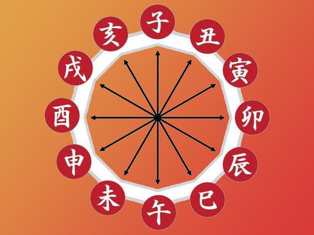 八字从格什么意思