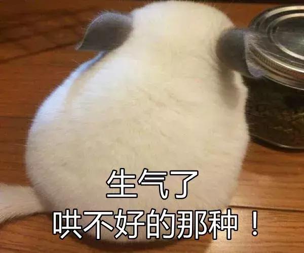 儿子生辰八字可以看出母亲