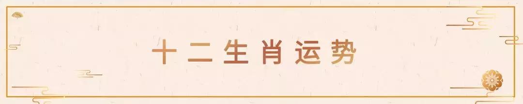 乙丑日生己亥月八字分析