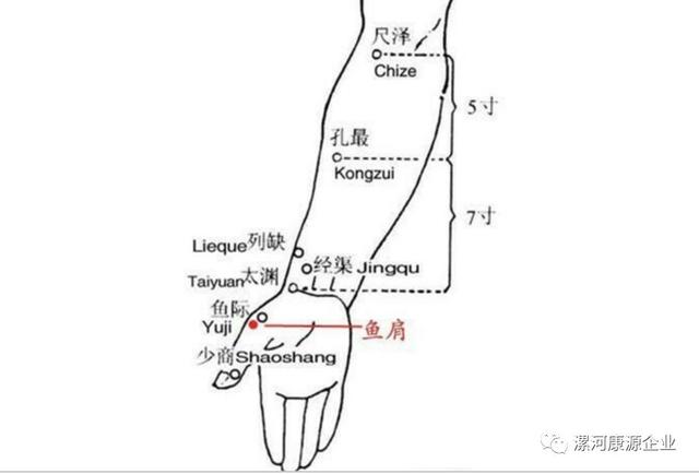 八字针灸治疗肩周炎视频