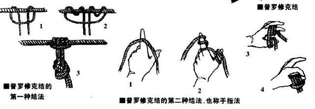 水手八字结打法图解