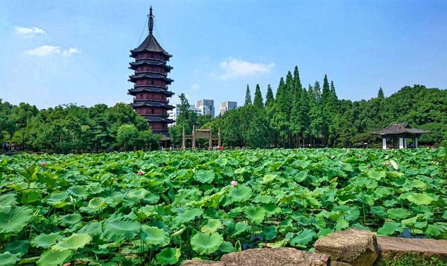 汇圆社区八字到