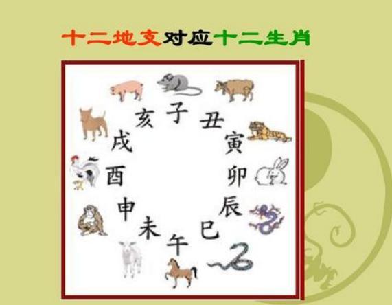 八字专旺案例