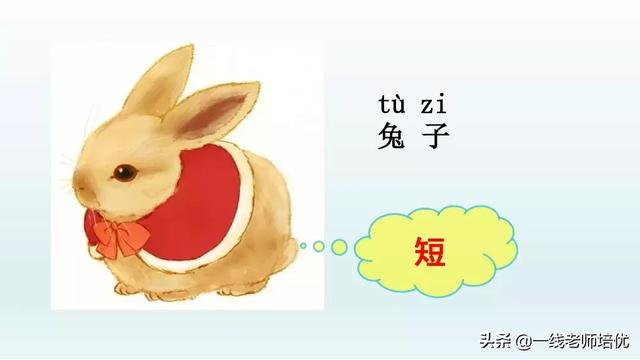 小学八字课文