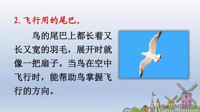 小学八字课文