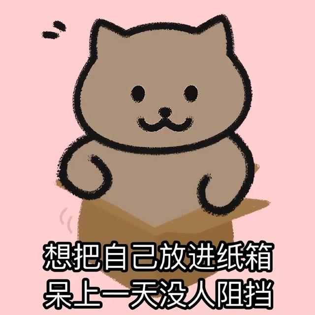 八字猪跟猴表情包