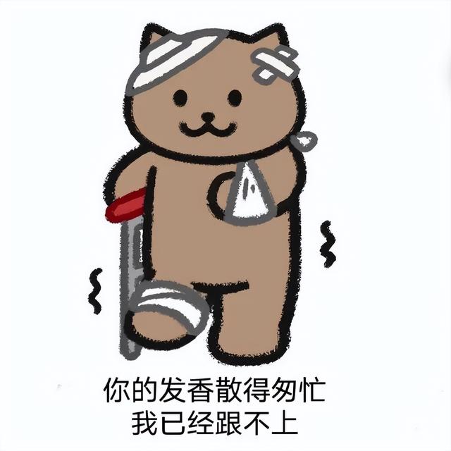 八字猪跟猴表情包