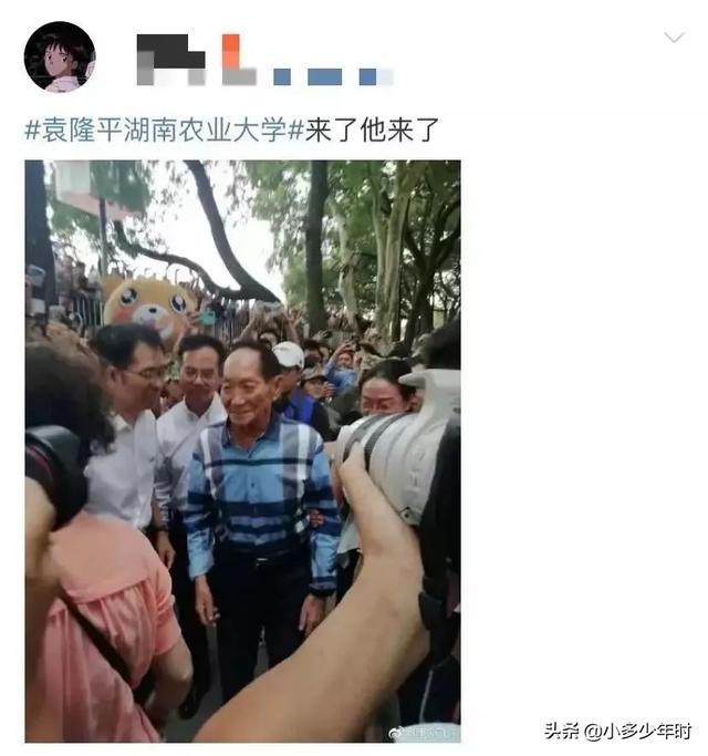 容易成功的八字