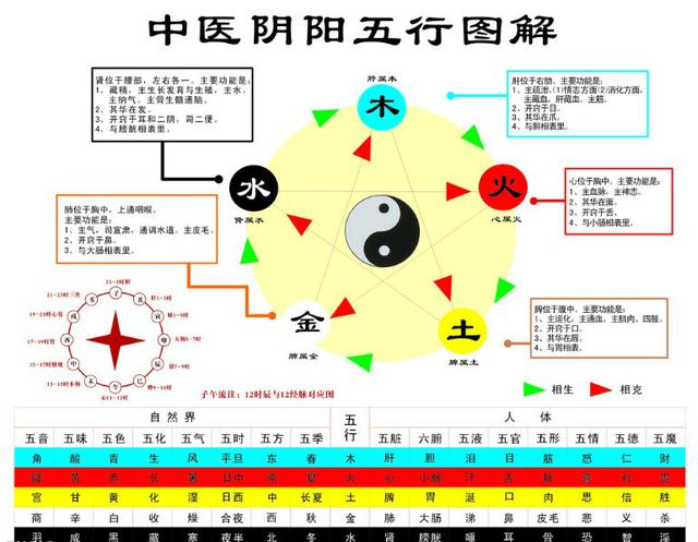 八字五行丰胸