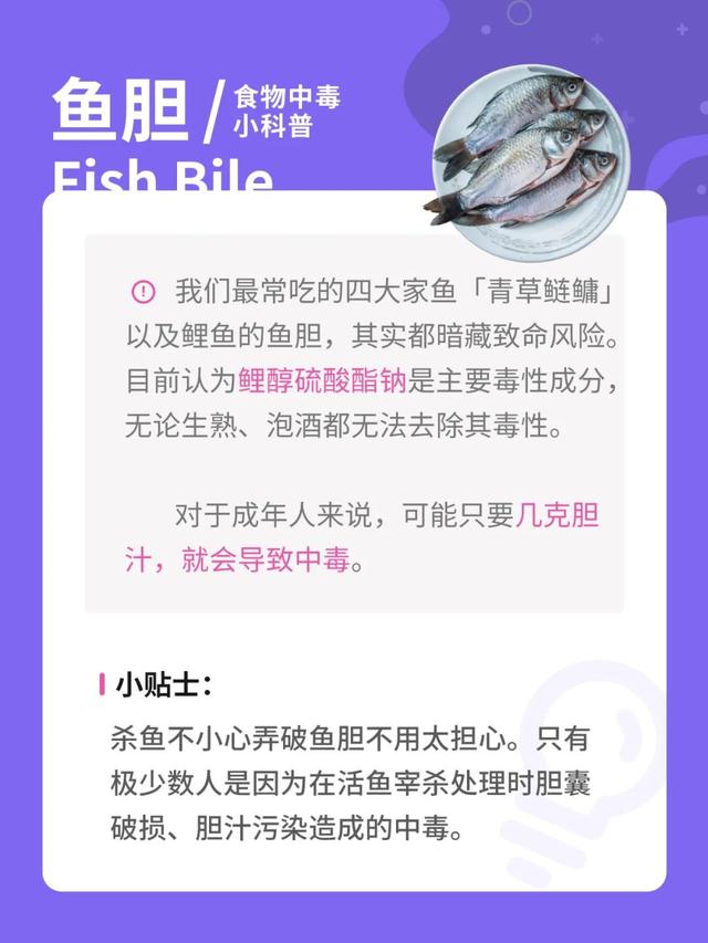 七六年属龙的是什么命八字属什么生肖