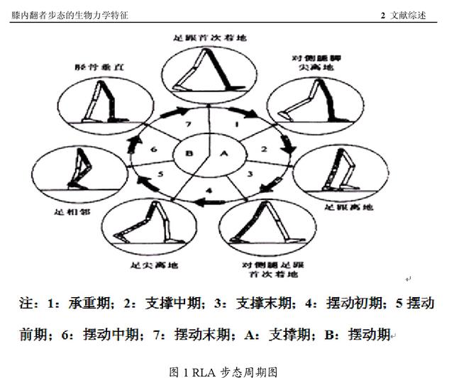 杨洋八字结婚时间