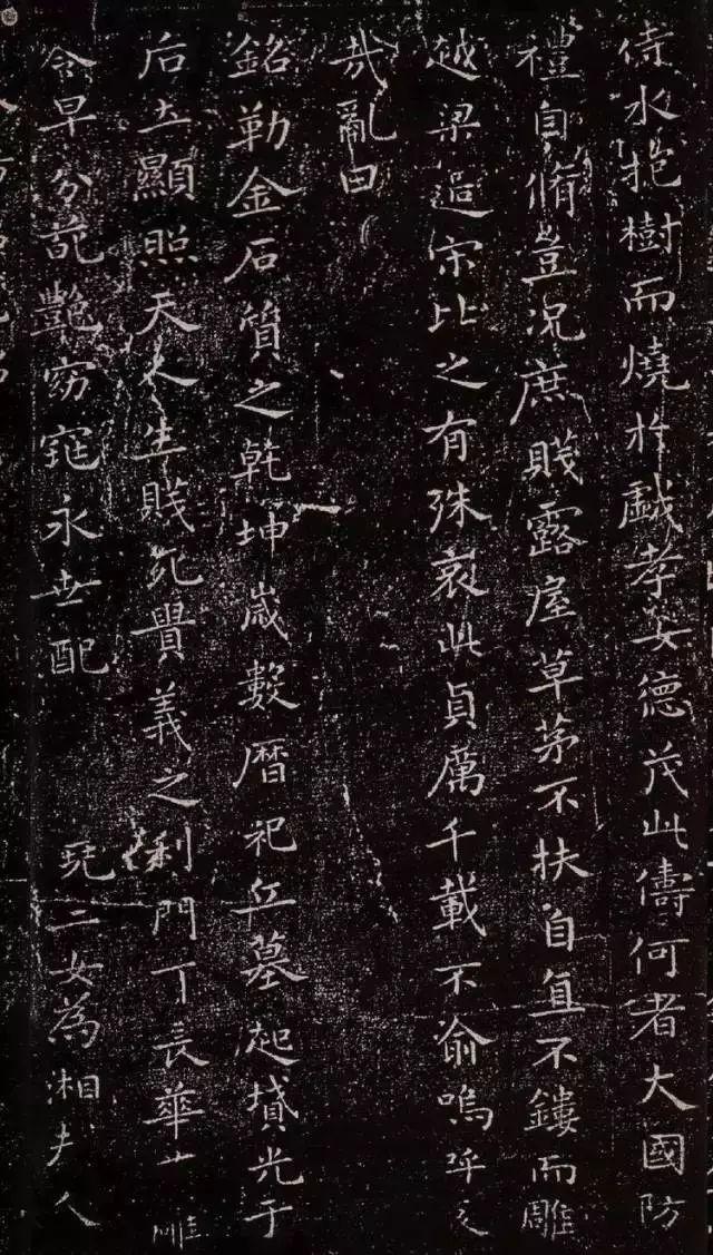 康生八字分析