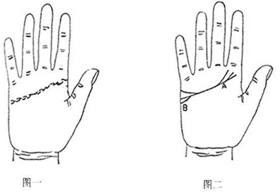 掌纹八字手势 八字掌纹图片