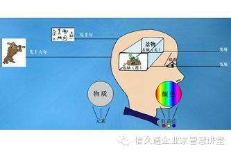 具有逻辑天赋的八字 八字看逻辑思维分析能力