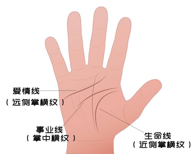 手掌受伤的疤痕会影响八字吗