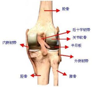 抑制膝反张八字绑法图片