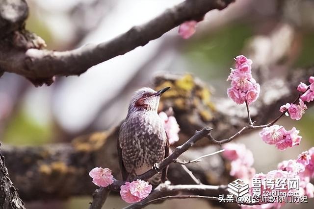 八字较特殊是什么意思