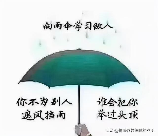 感情细腻的八字