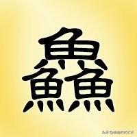 八字四个火三个金一个土