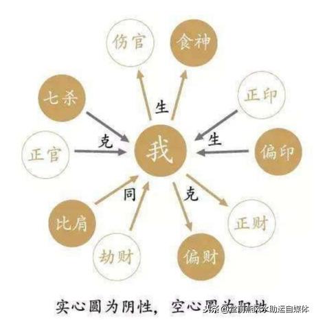 八字干支哪个代表乳房