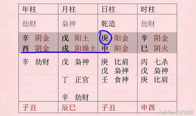 1995年十月初九八字