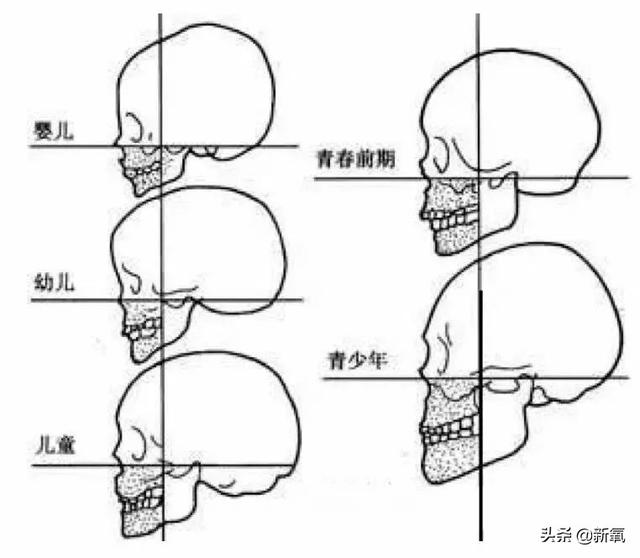 陈乔恩曾伟昌会八字