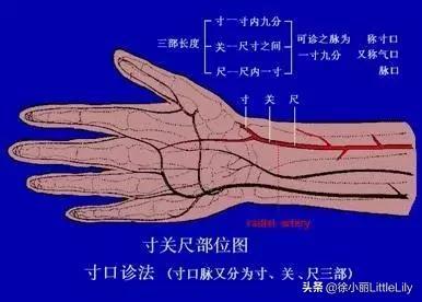 手掌八字注解