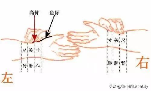 手掌八字注解