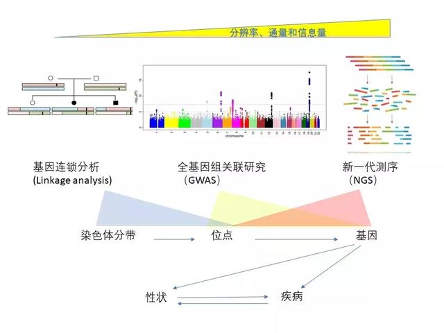 八字合婚总分多少