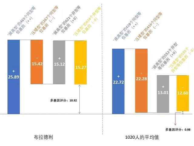 八字合婚总分多少