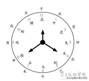 时晨八字查五行缺什么