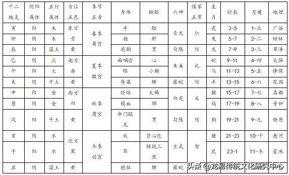 八字巳火属性阴阳查询