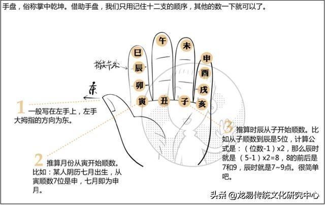 八字巳火属性阴阳查询