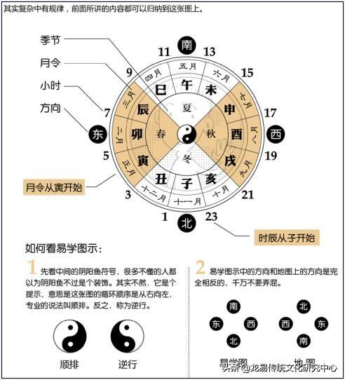 八字巳火属性阴阳查询