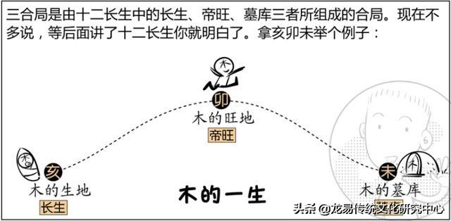 八字巳火属性阴阳查询