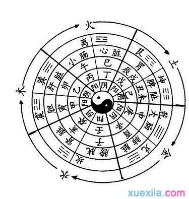 八字五行喜水是什么意思 八字的五行属性是什么