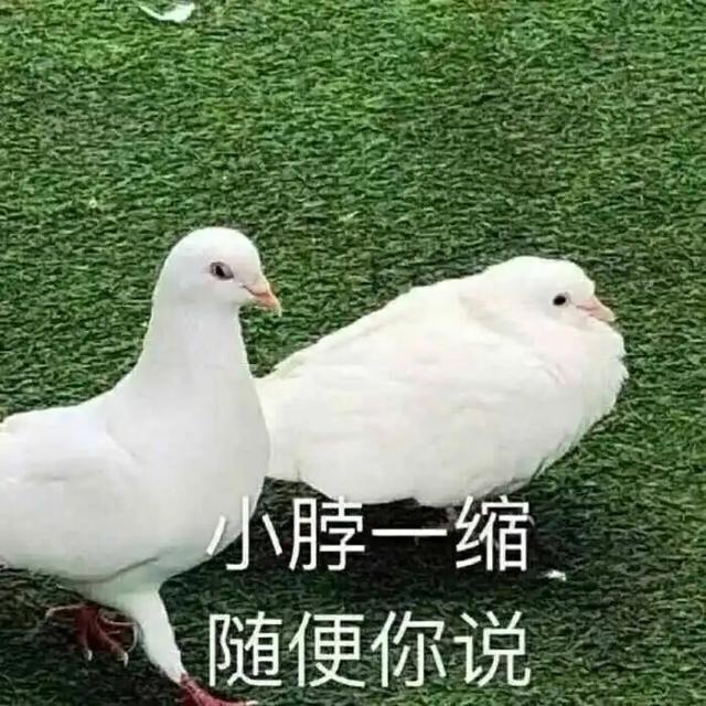 八字测小名算命打分测试打分测试