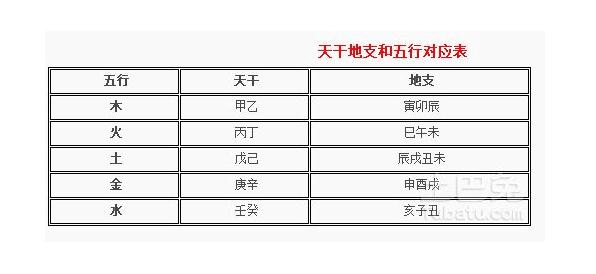 八字天干地支藏支查询