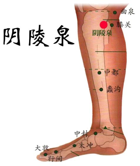 八字针灸网球肘