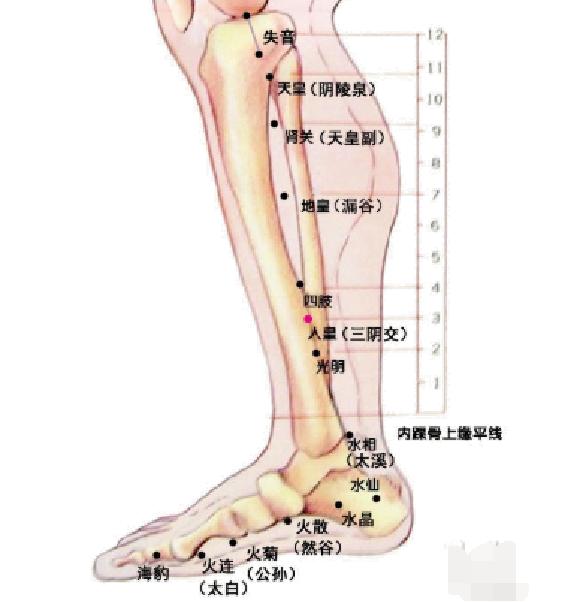 八字针灸网球肘