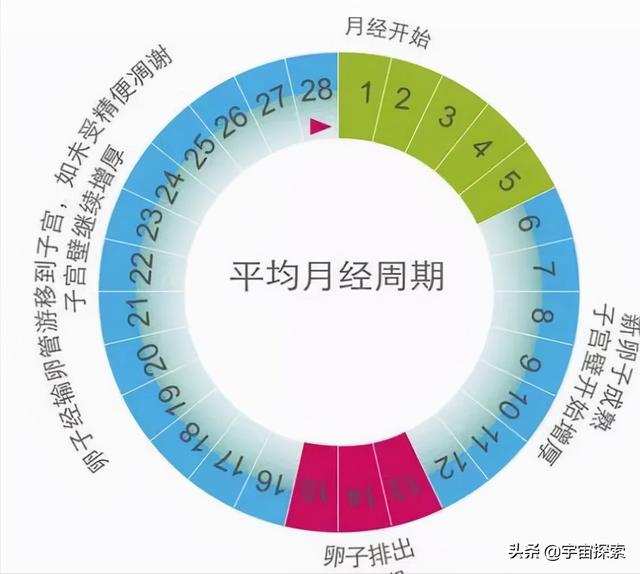 姓名八字合婚测试打分免费