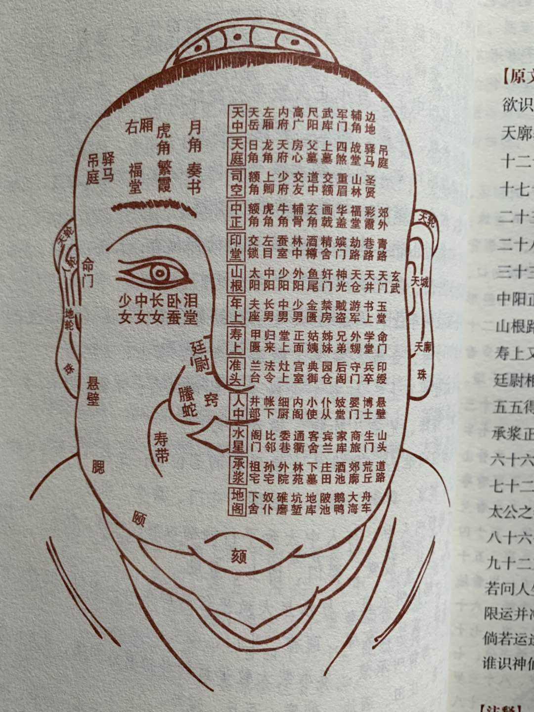 从八字中看，从八字中看当官的级别