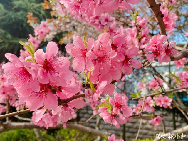 院子门八字好不好