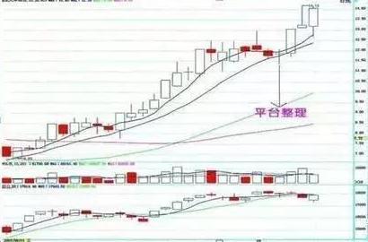 三天教会你看八字基本步骤