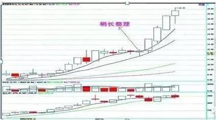 三天教会你看八字基本步骤