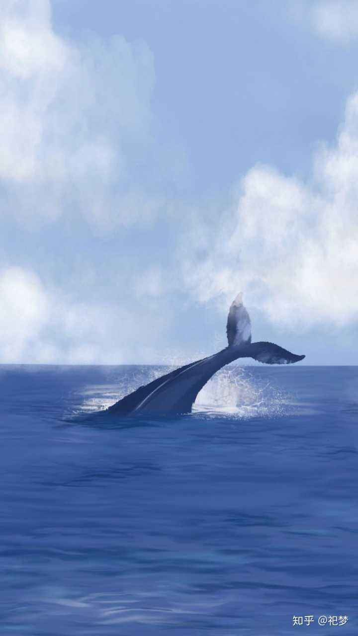 关于鲸鱼的八字口号，关于鲸鱼的英语作文