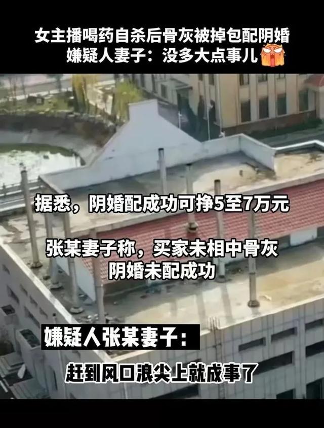 南方八字合婚破解版下载