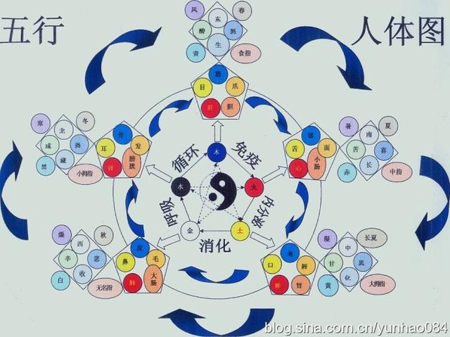 五行八字查询对照表