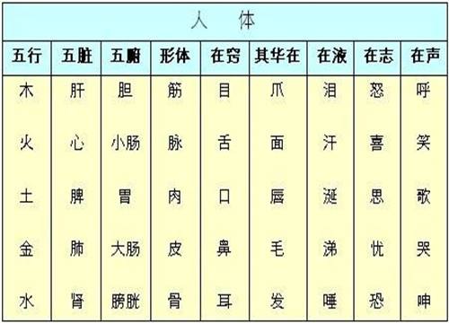 八字五行阴阳属性查询，八字阴阳查询免费