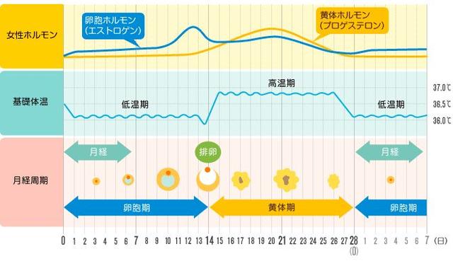 八字查日期苹果版下载